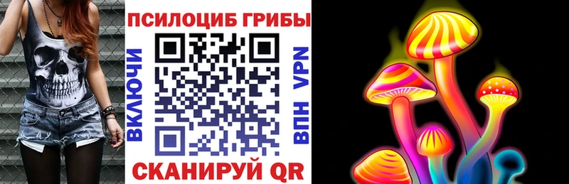 Псилоцибиновые грибы Psilocybe  Томари 